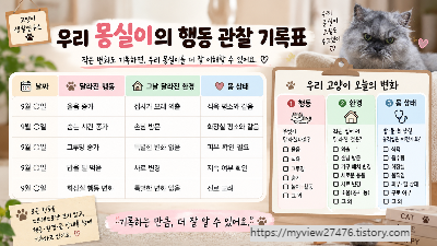 고영희씨들 스트레스 증상부터 찾지 않았습니다 15살 노묘의 ‘평소 행동’을 기록하는 이유