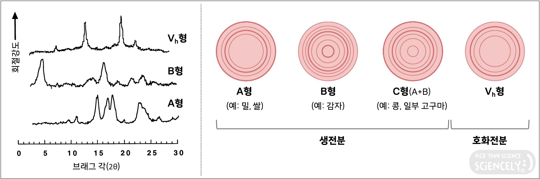 XRD X선 회절 분석법, 전분 구조, A형 B형 C형 V형, 밀 쌀 곡류, 감자 서류 근경류, 호화전분
DOI:10.1016/S0141-8130(98)00040-3
