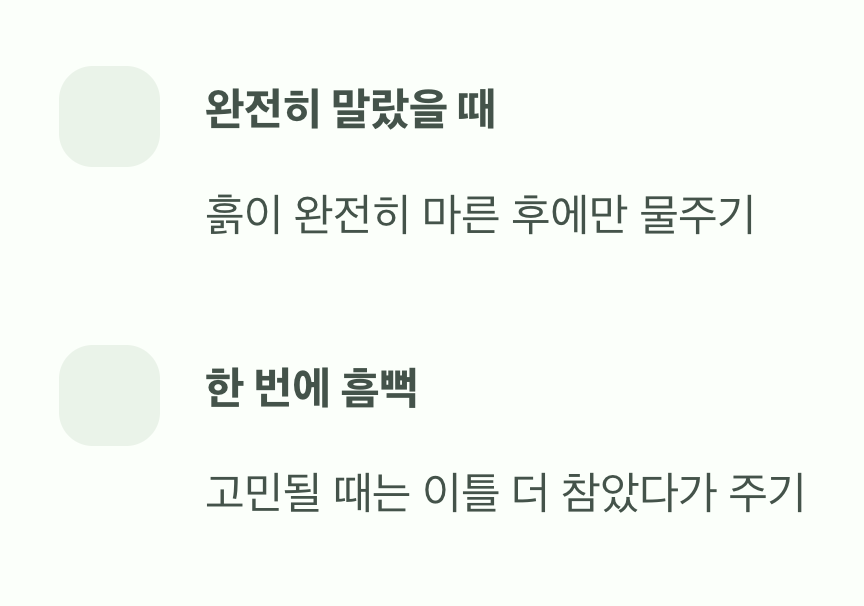 과습은 '독', 물주기의 핵심
