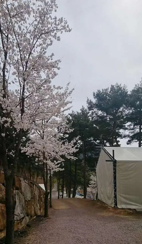 휴식&amp;마이웨이리조트