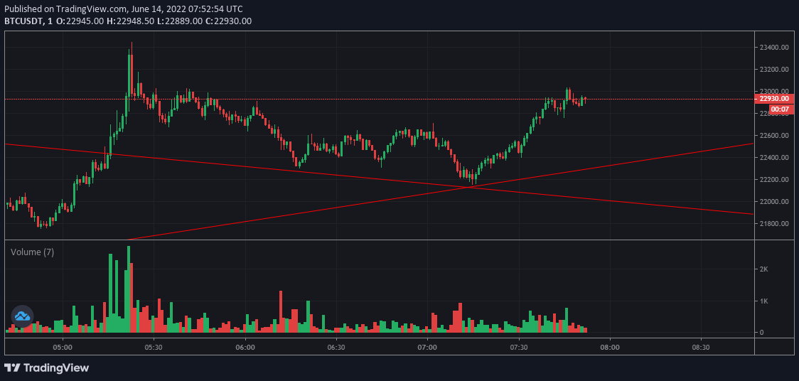 비트코인 트레이딩