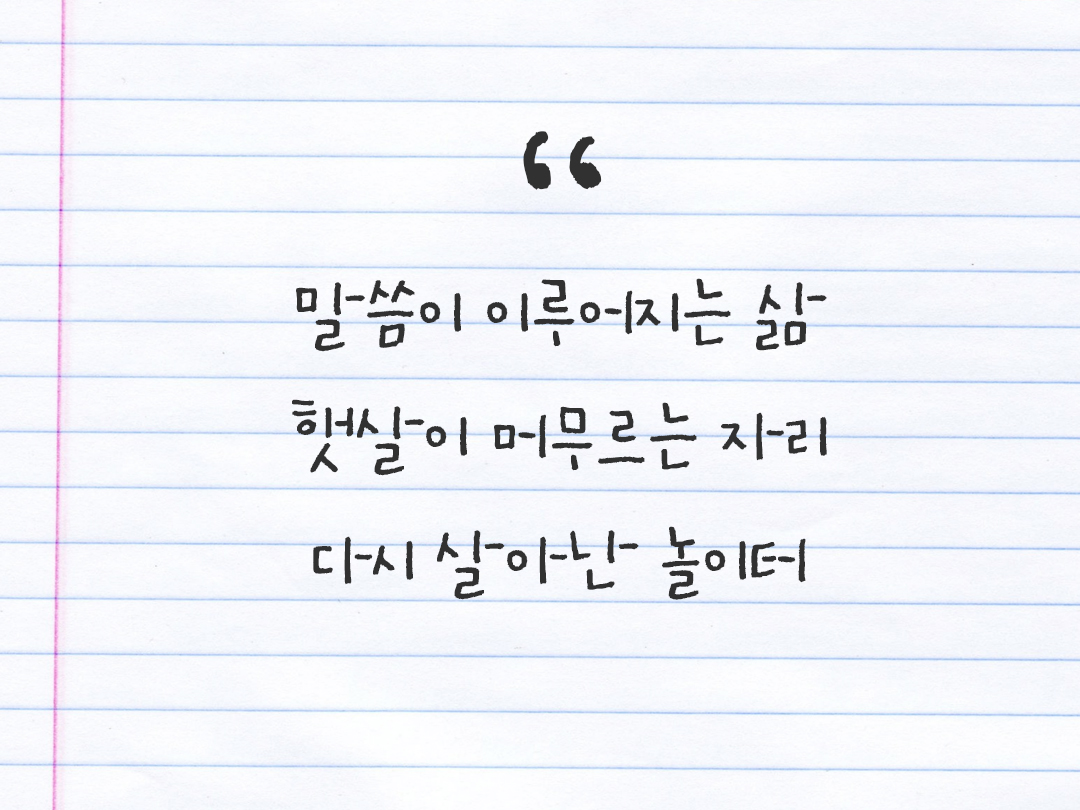 25년 12월 9일 오늘 내 마음 기록하기 감사노트, 감사를 통해 발견한 행복, 오늘 감사한 순간들 by 피어나네 감사일기
