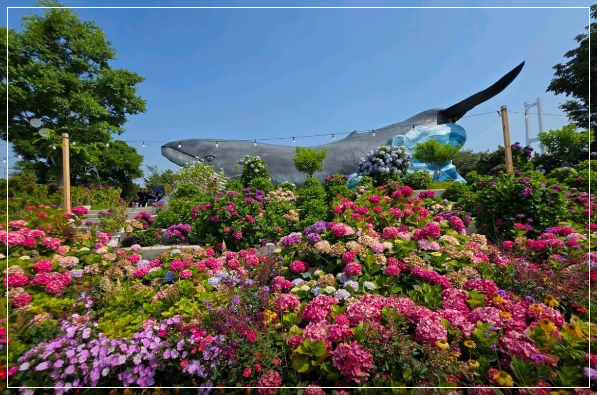 울산 가볼만한곳 베스트10 장생포 고래문화마을