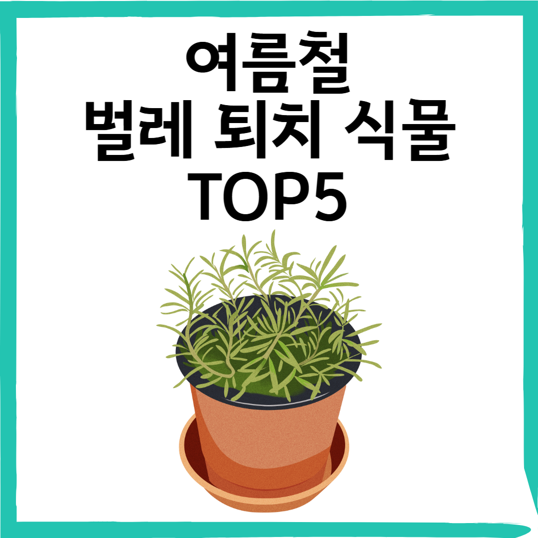 여름철 벌레 퇴치 식물 TOP5 &ndash; 모기 쫓는 천연 인테리어 식물 추천!
