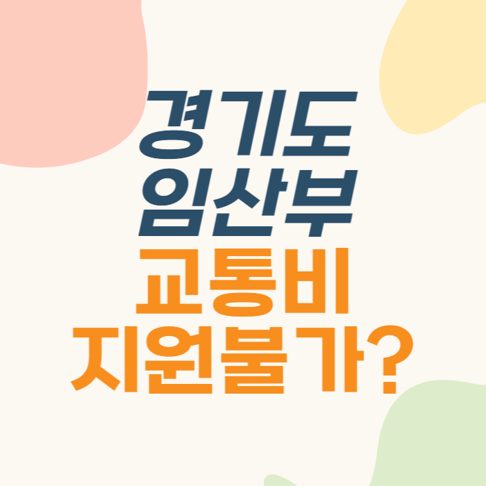 경기도 임산부 지원 경기도 임산부 교통비 지원