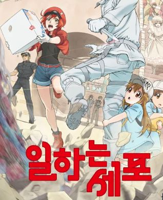 일하는세포의 겉표지