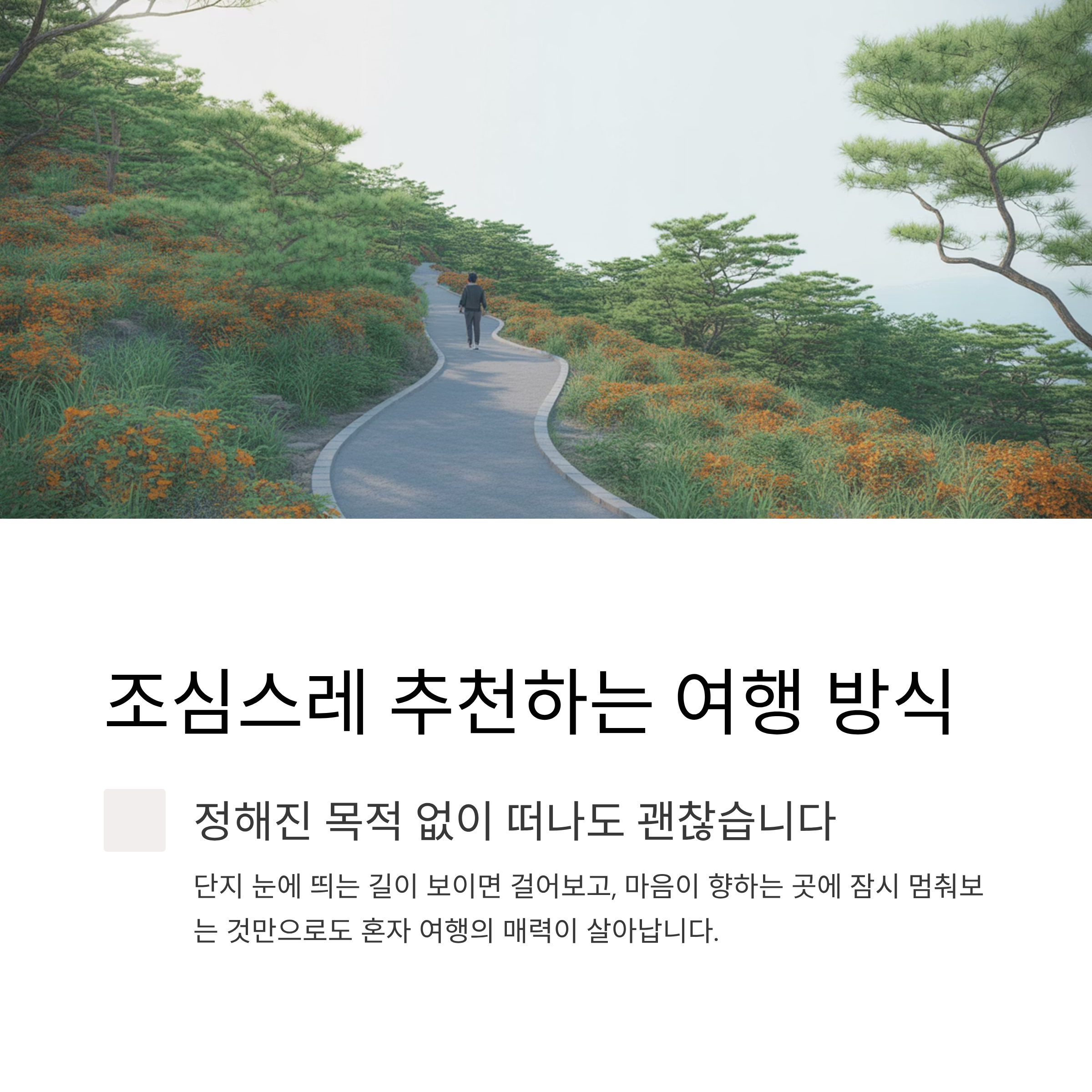 조심스레 추천하는 여행 방식