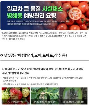 농사 병해충 예방법 진딧물 응애 노균병 탄저병 대처_24