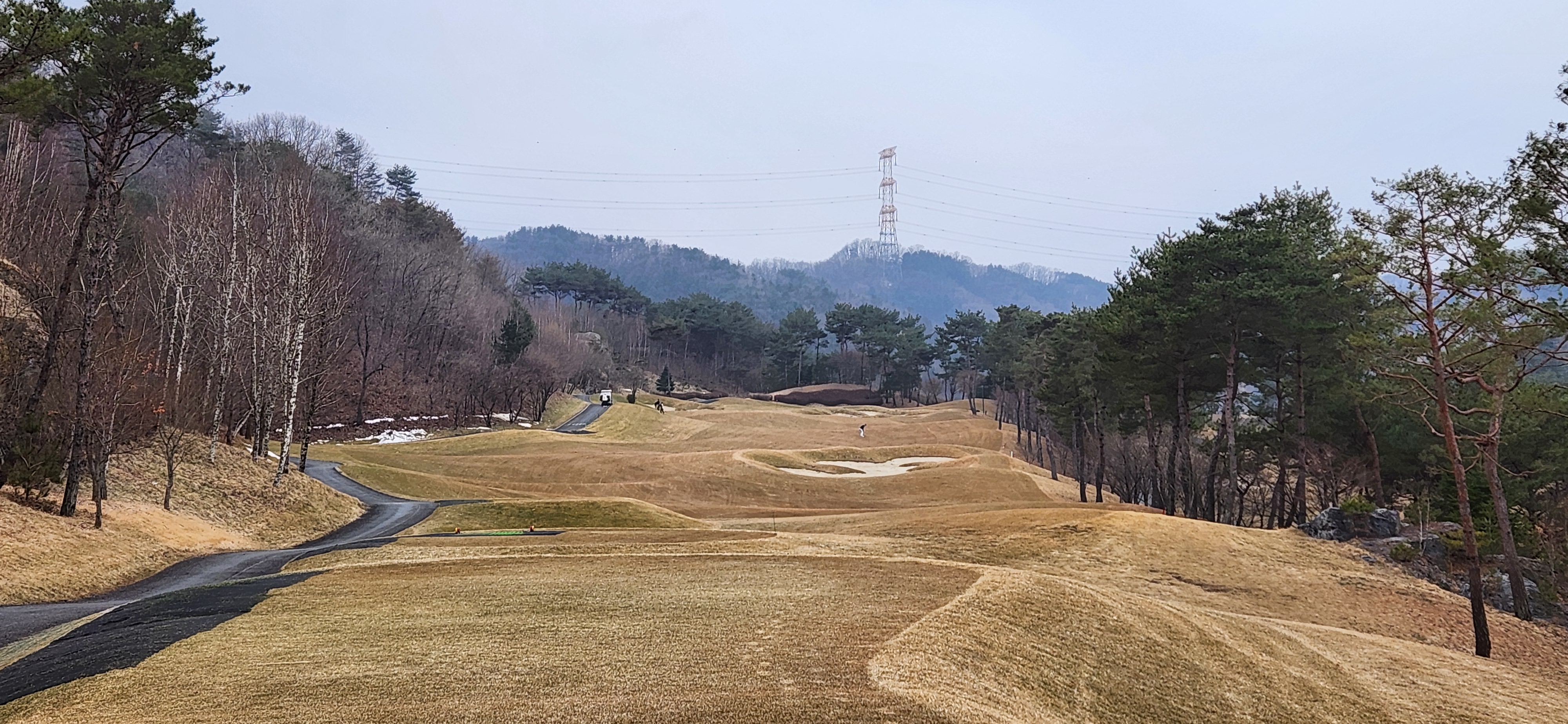 힐드로사이cc