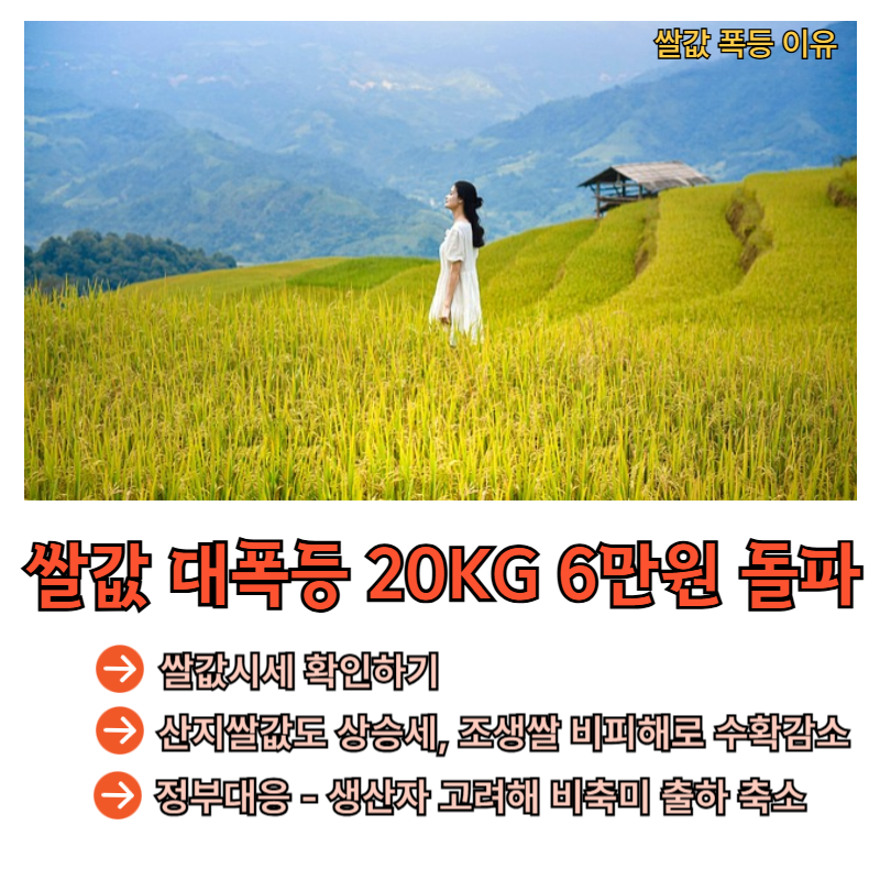 쌀값인상이유