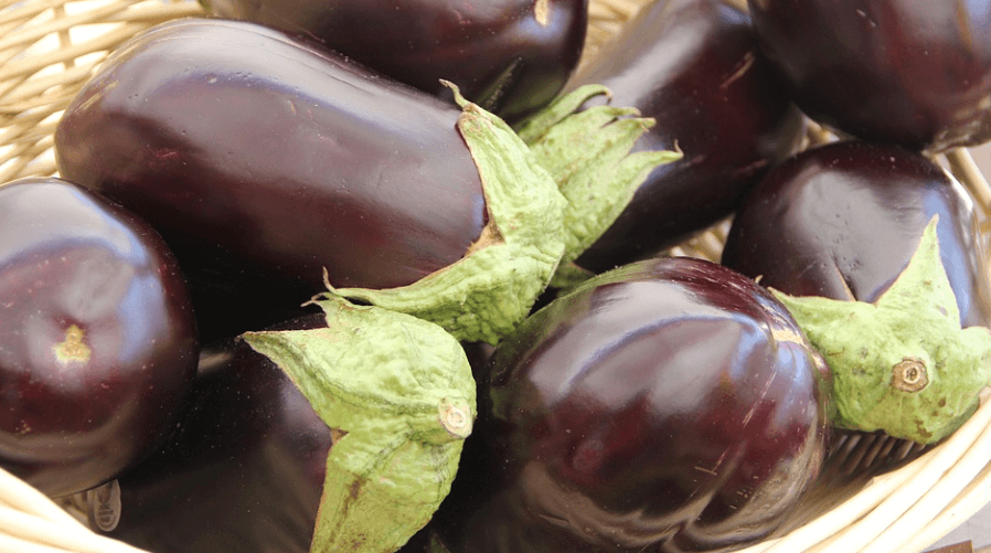 채소 가지 사진 - 32