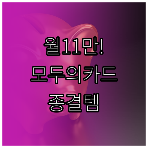 월 11만원 소액 지출에 최적화된 모..