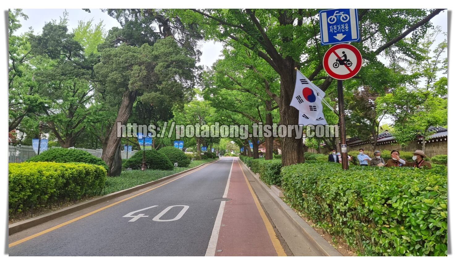 청와대 관람