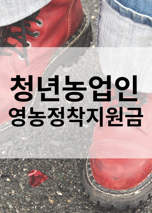 청년농업인영농정착지원금