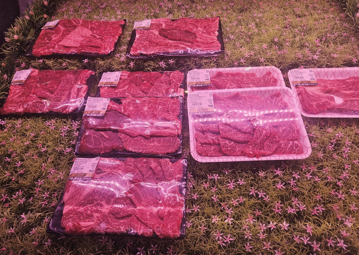 경기도-포천시-포천식육식당-소고기
