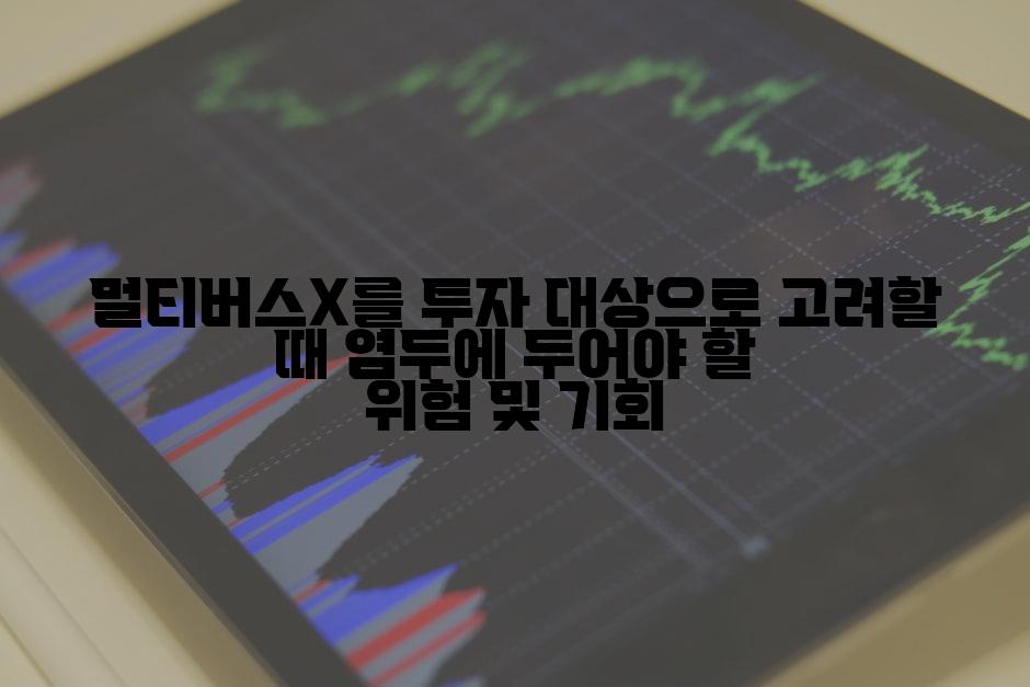 멀티버스X를 투자 대상으로 고려할 때 염두에 두어야 할 위험 및 기회