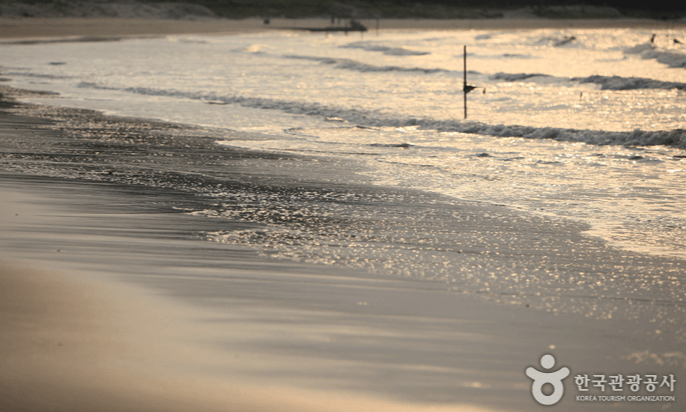 임자 대광해수욕장