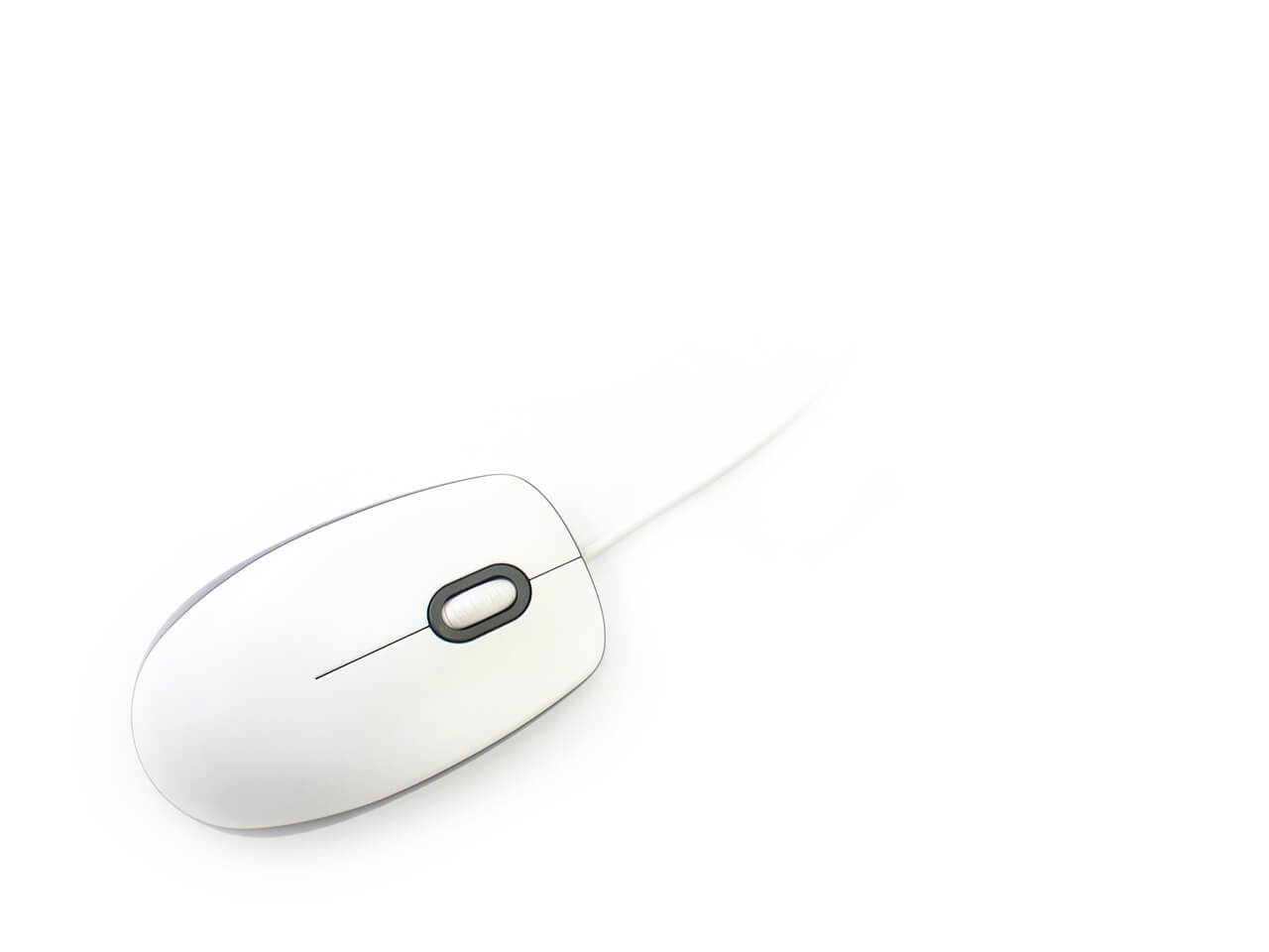 무료 누끼따기 사이트 사진