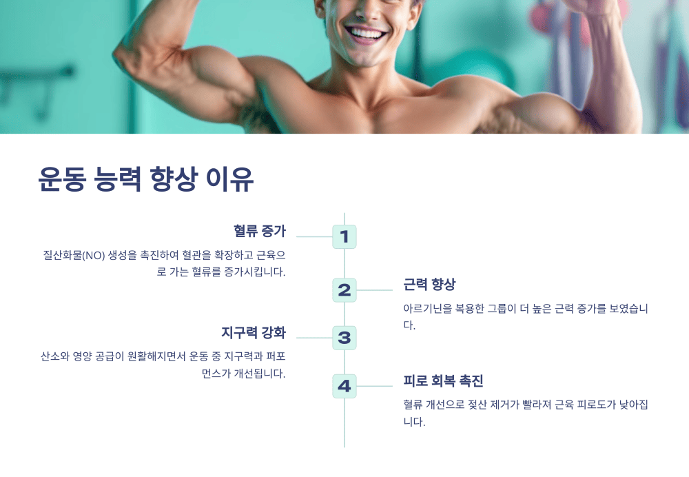 아르기닌이 운동 능력을 향상시키는 이유