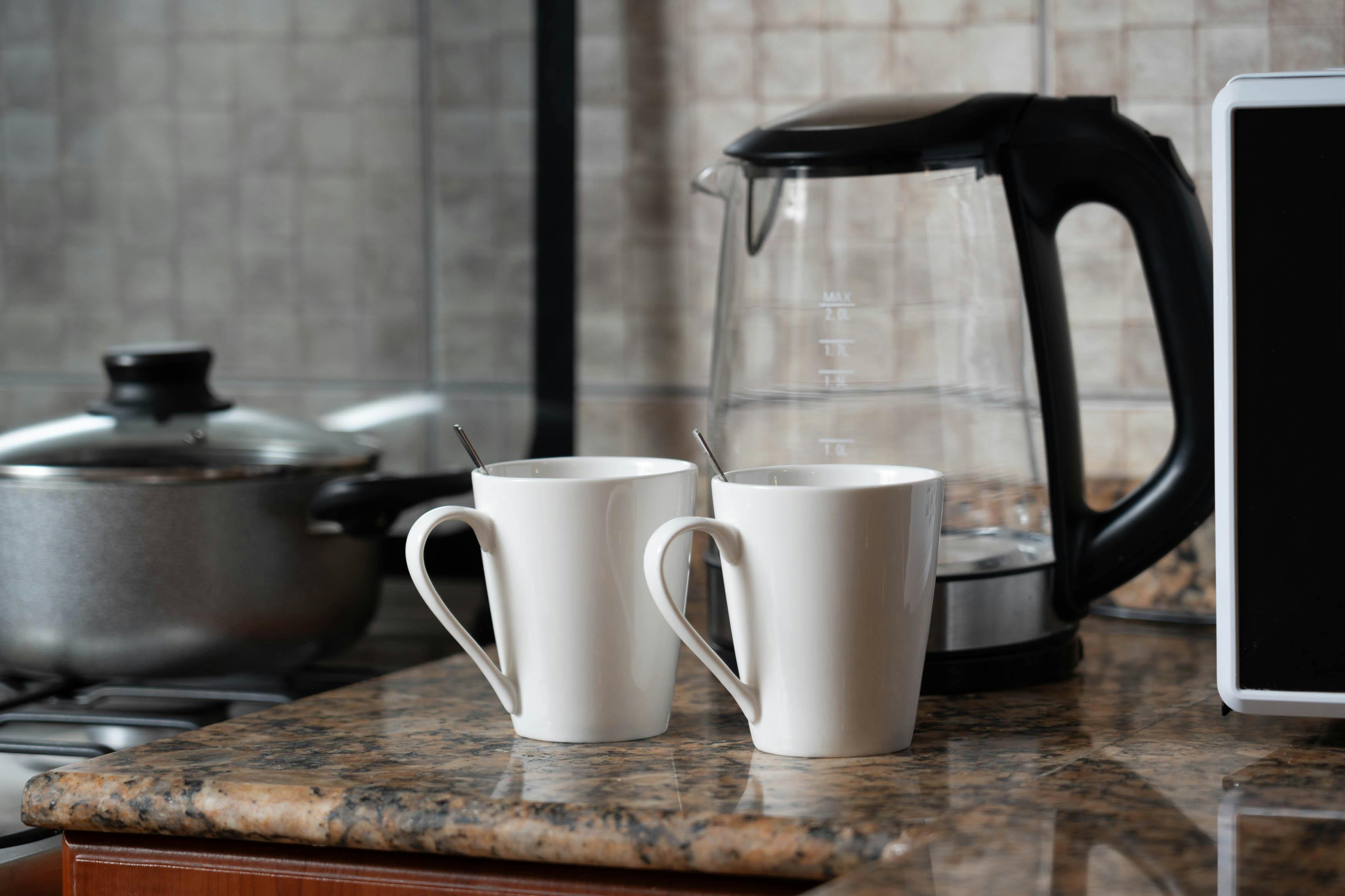 자취생 전기포트 선택 가이드