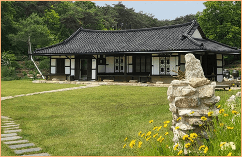 고창 청농원 라벤더 축제