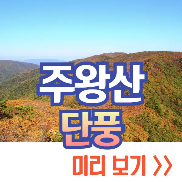주왕산 국립공원 단풍