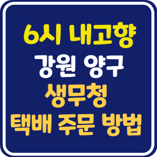 6시 내고향 양구 생무청 택배 주문 방법