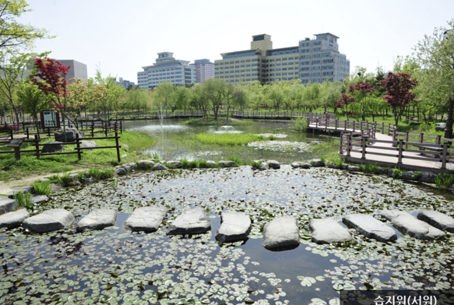 한밭수목원-습지