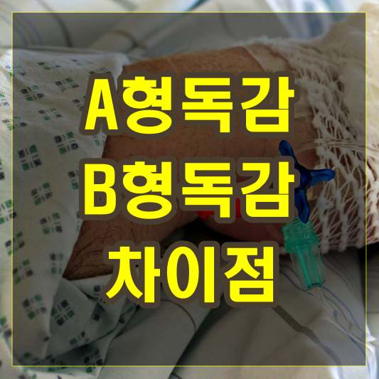 a형독감 b형독감 차이