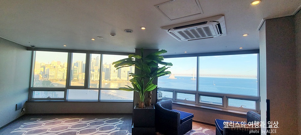 2021년 호텔 결산 QnA (제일 좋은, 가성비 좋은, 특색있는 호텔 등등등) ... 여행블로거 & 크리에이터 앨리스