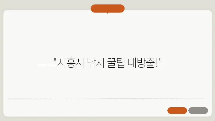 시흥시 낚시용품점 할인마트 장비 구매 시기
