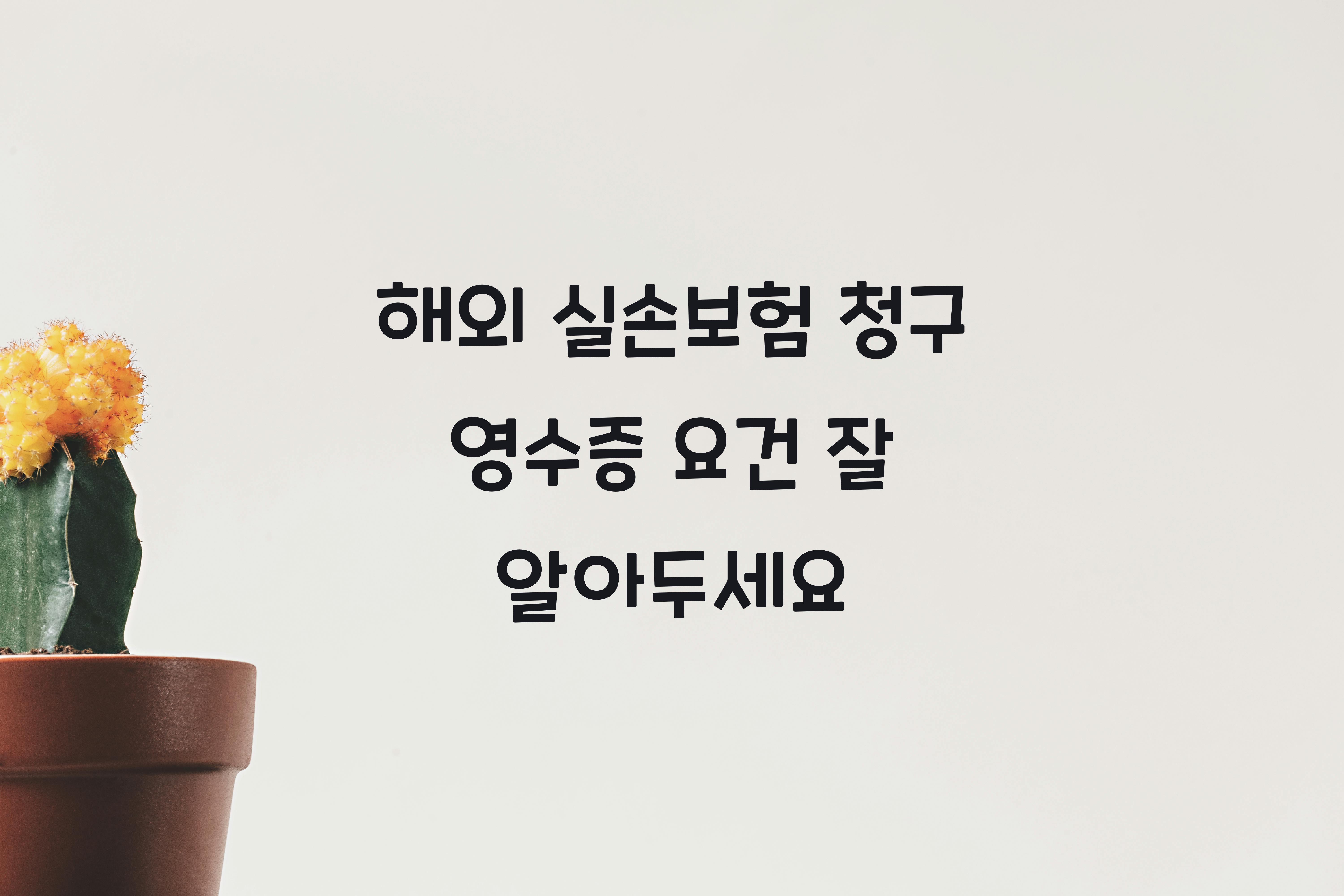 해외 실손보험 청구 영수증 요건