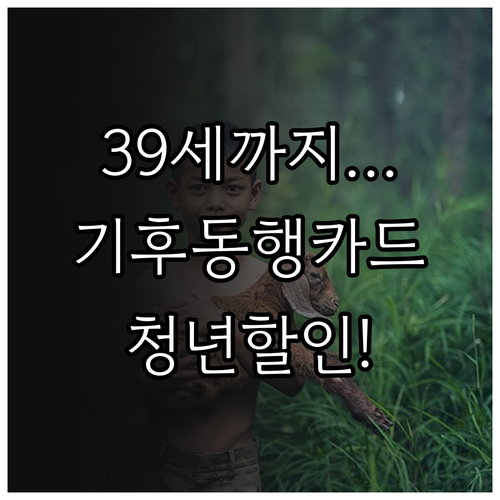 2026년 기후동행카드 청년 할인 연..