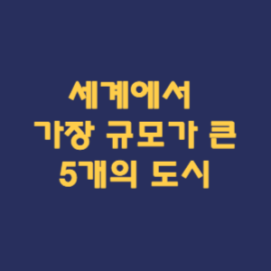 세계에서 가장 넓은 5개의 도시 탐방