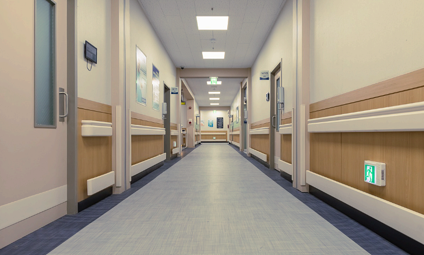 가브리엘레 드 브리스 증후군, 얼굴 기형을 유발하는 알려지지 않은 희귀 질환