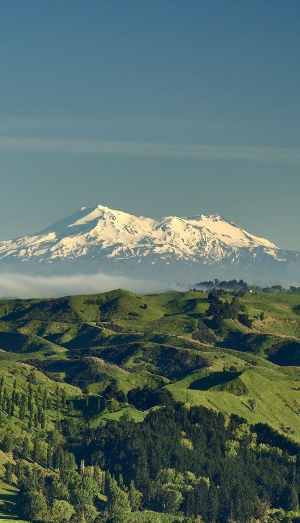 스마트폰 배경화면 잠금화면 자연 풍경 무료 다운로드