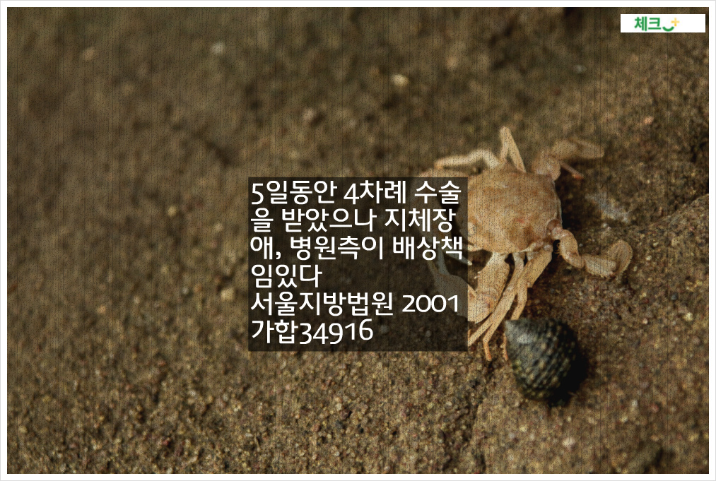 5일동안 4차례 수술을 받았으나 지체장애, 병원측이 배상책임있다