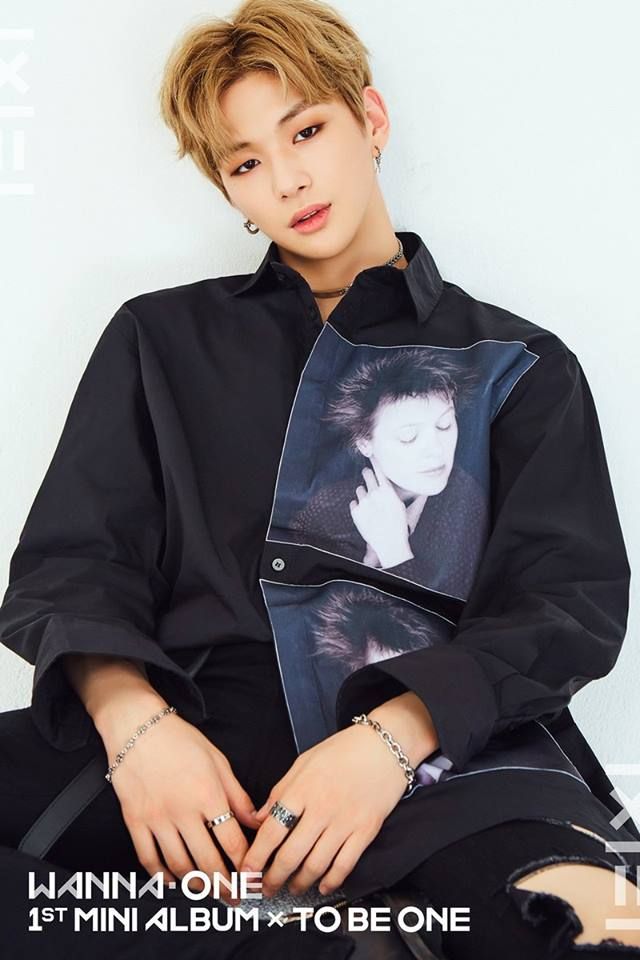 강다니엘 / 워너원