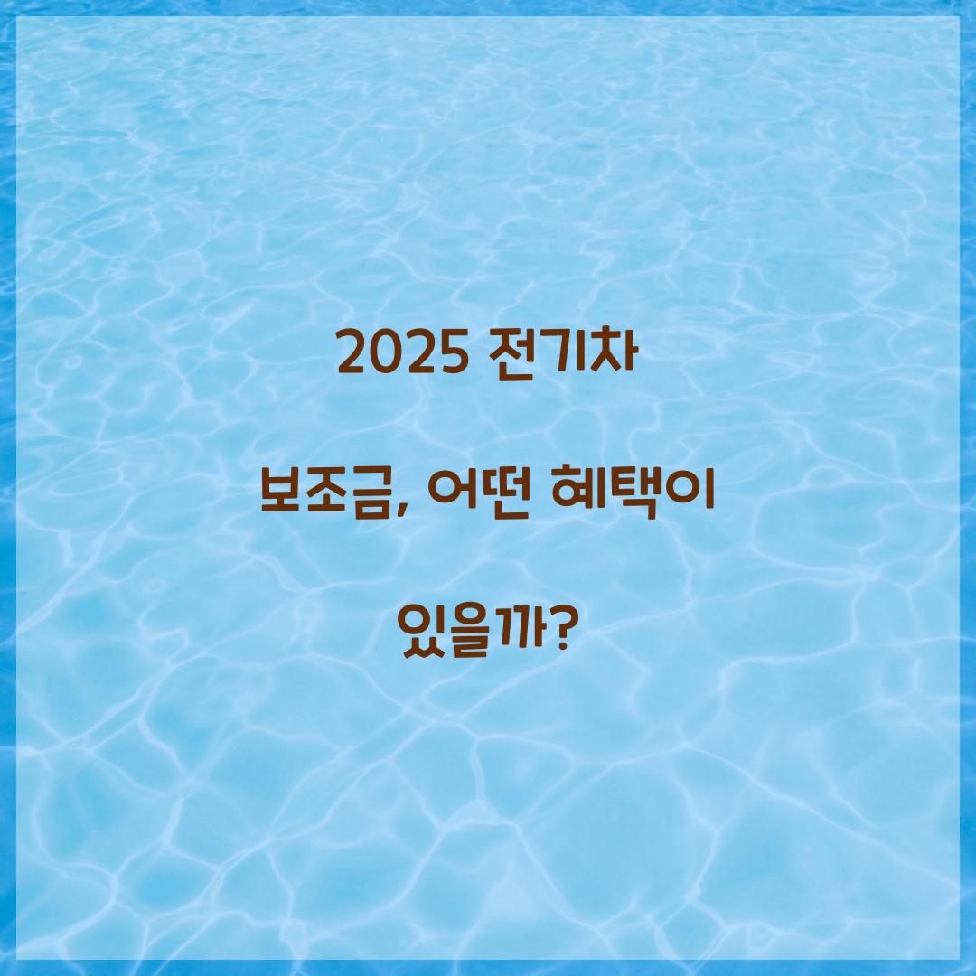 전기차 보조금