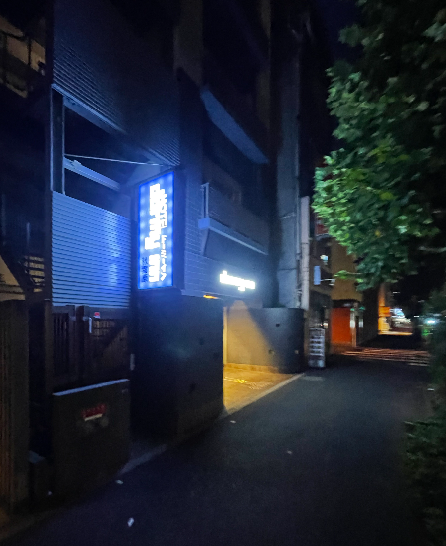 호텔 도미인 아키하바라 전경