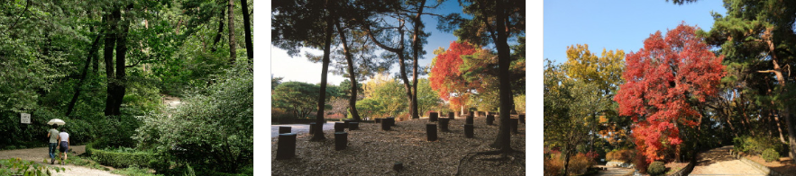 홍릉숲 천장마루길