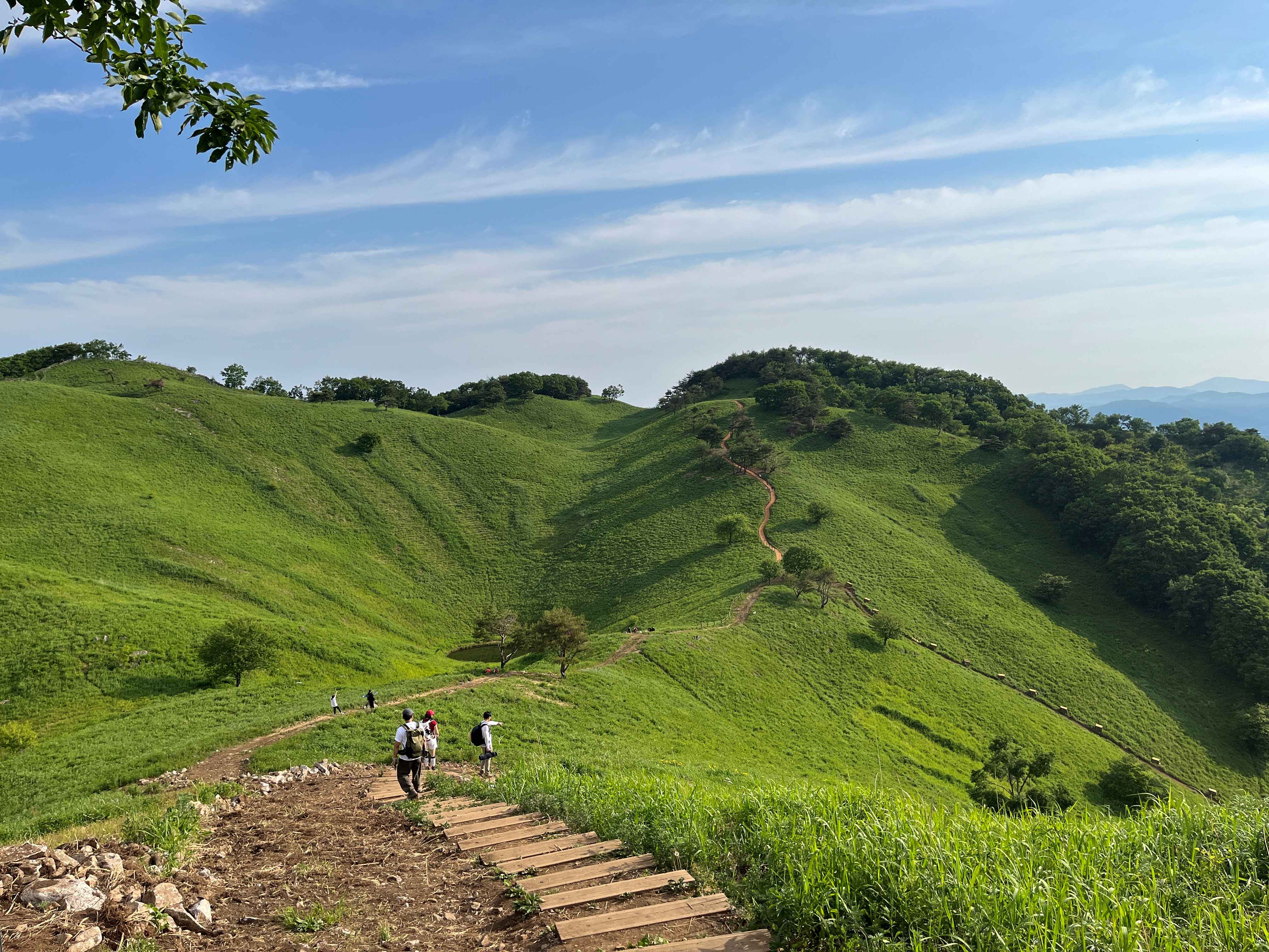 민둥산