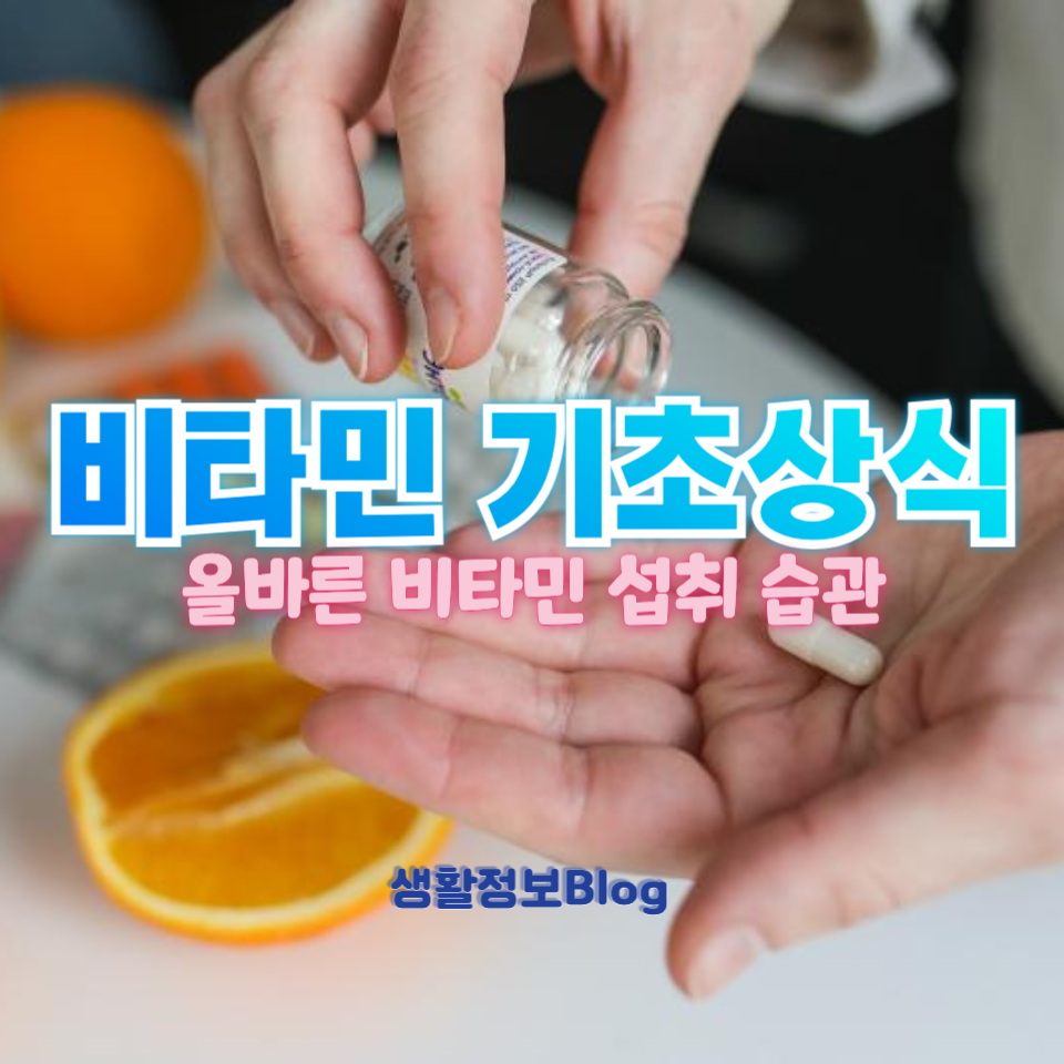 비타민 기초상식
