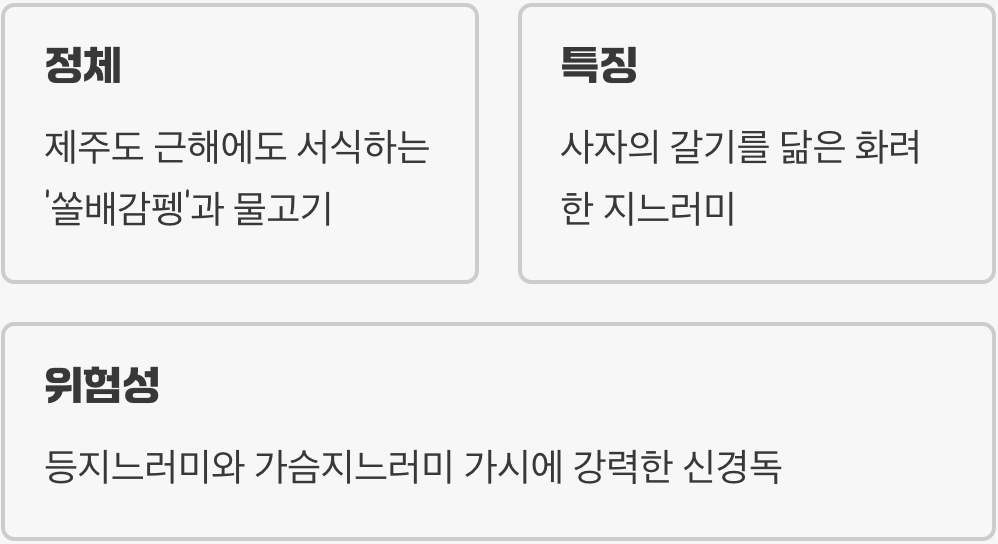 바다의 맹독성 예술품&amp;#44; 라이언피쉬