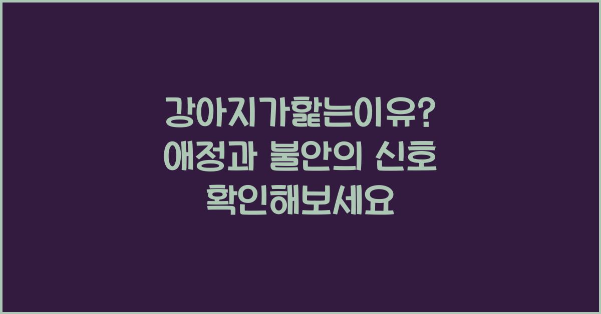 강아지가핥는이유