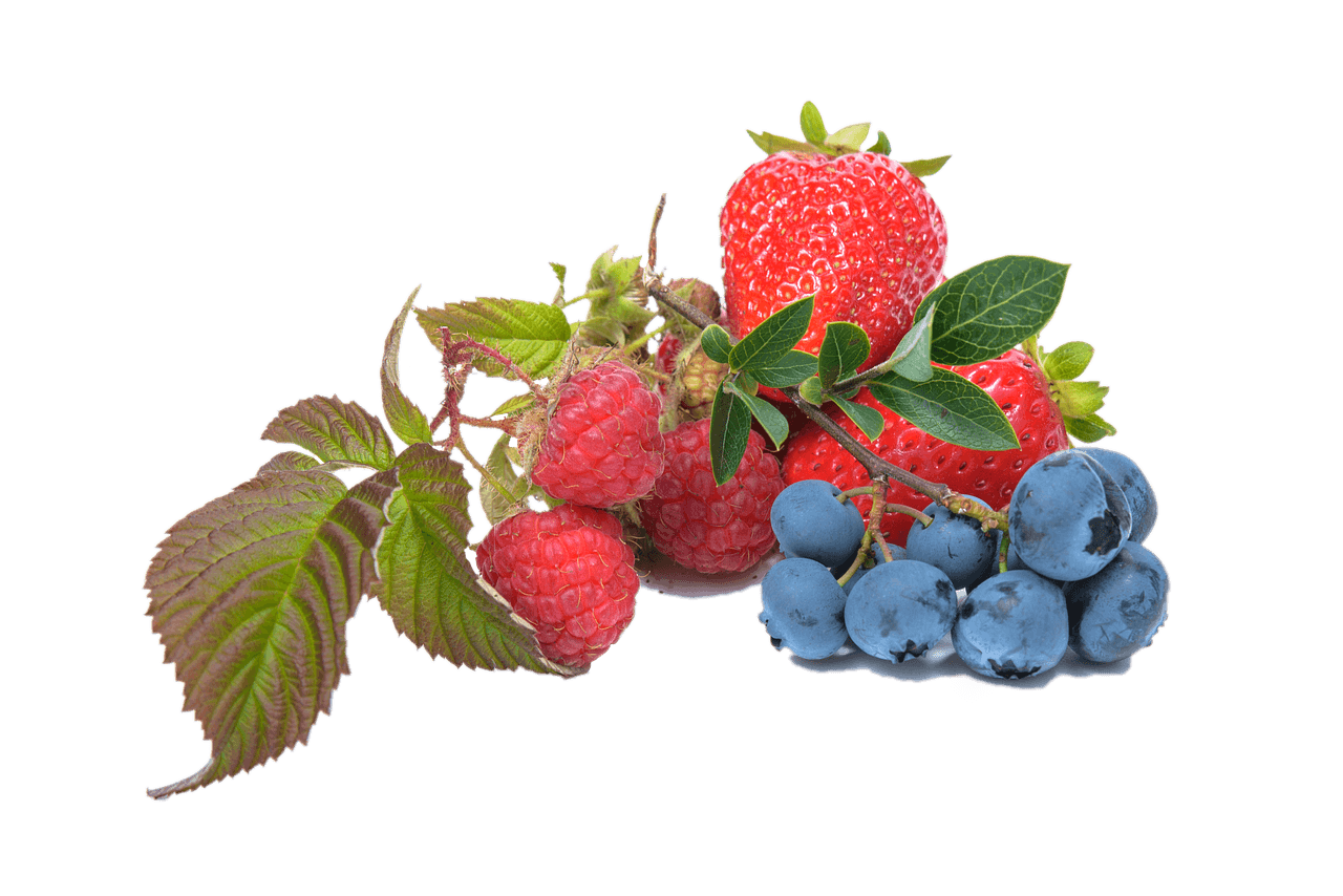 신우신염에 좋은 음식