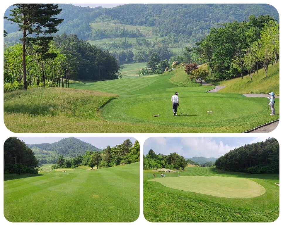 골프장 경험담 홍천 세이지우드cc 사람이 가장 쾌적함을 느끼는 해발 765m에서 경험하는 자연, 골프, 쉼