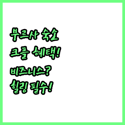 튀르키예 부르사 비즈니스 힐링 숙박의..