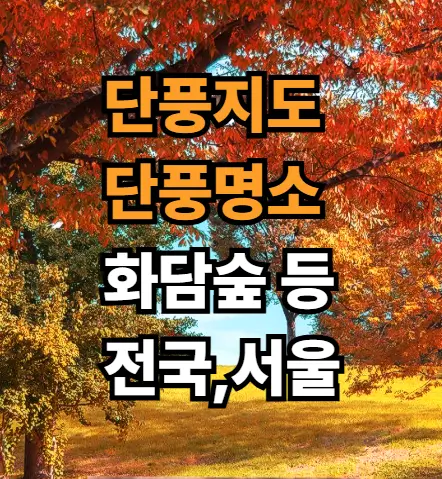 2025 단풍시기 완벽 가이드: 전국 단풍지도부터 화담숲, 서울 단풍명소까지!