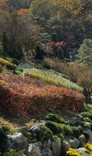 석모도 자연휴양림 숲나들e 국내 여행지 추천 관련 사진